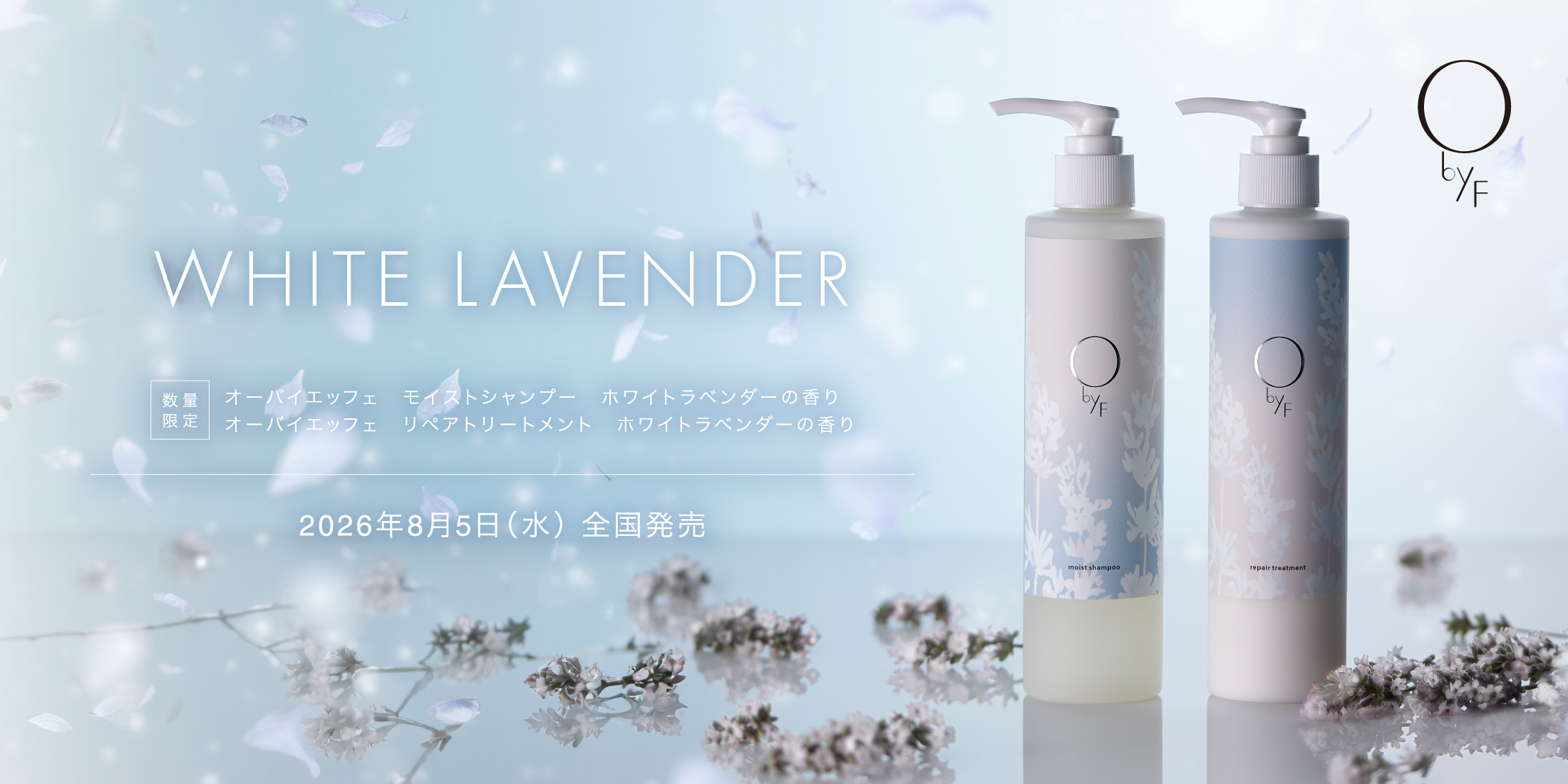 WHITE LAVENDER