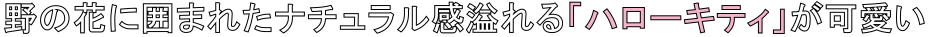 野の花に囲まれたナチュラル感溢れる「ハローキティ」が可愛い