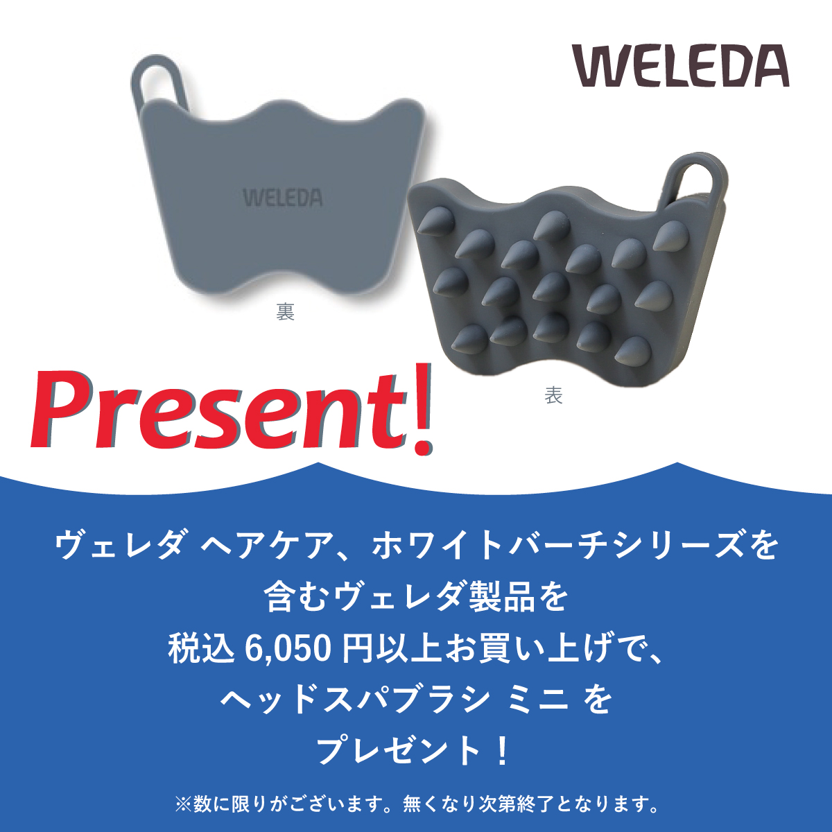 WELEDA スカクレ GWP