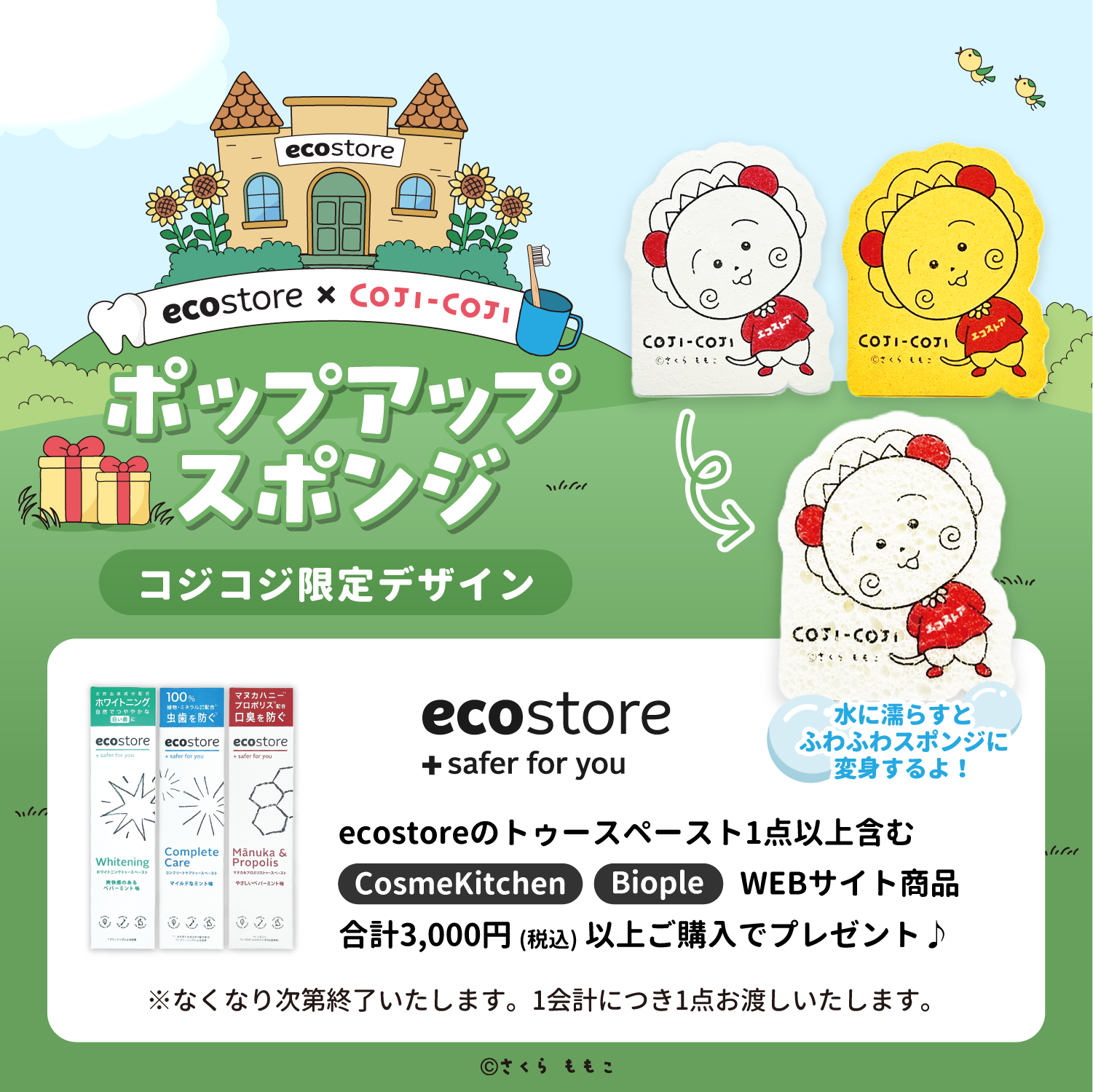 ecostore×cojicoji ポップアップスポンジプレゼント