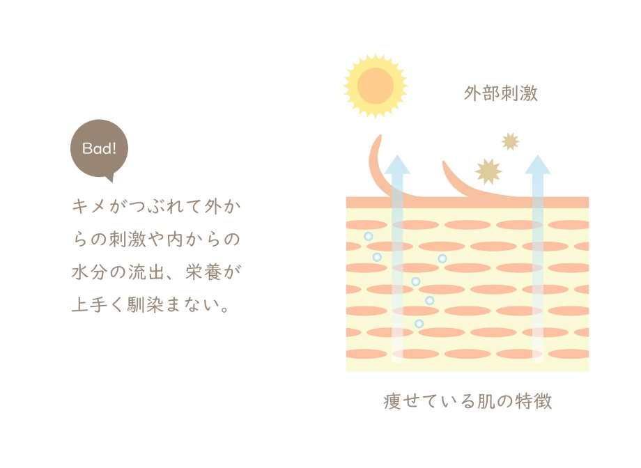 痩せている肌の特徴