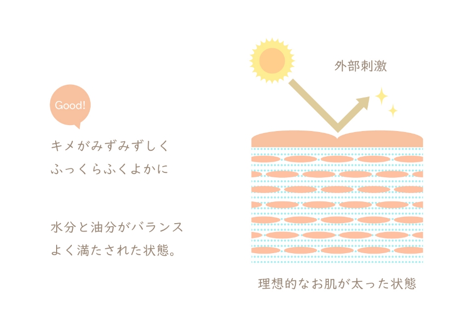 理想的なお肌が太った状態