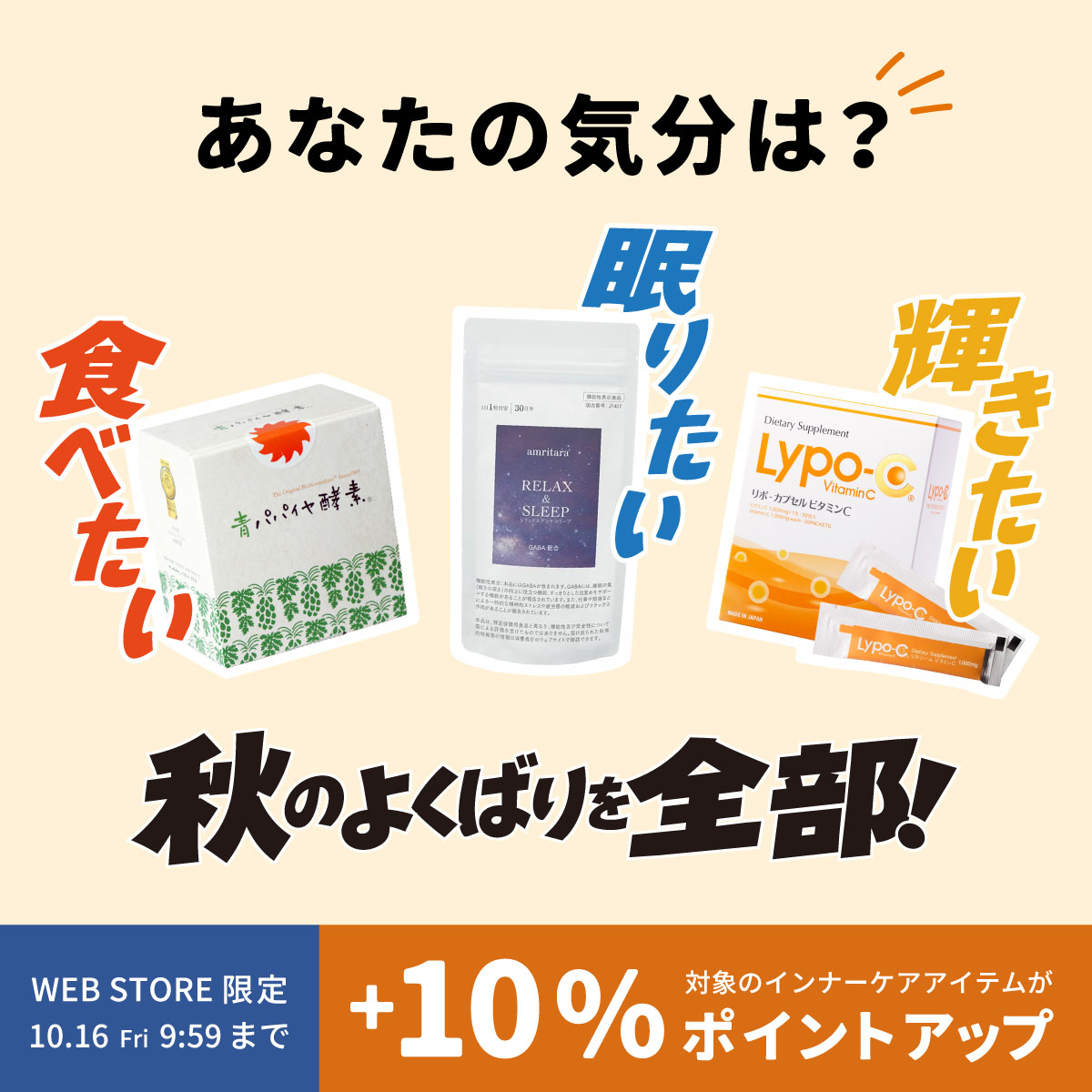 対象商品10%OFF&ポイントアップ中！