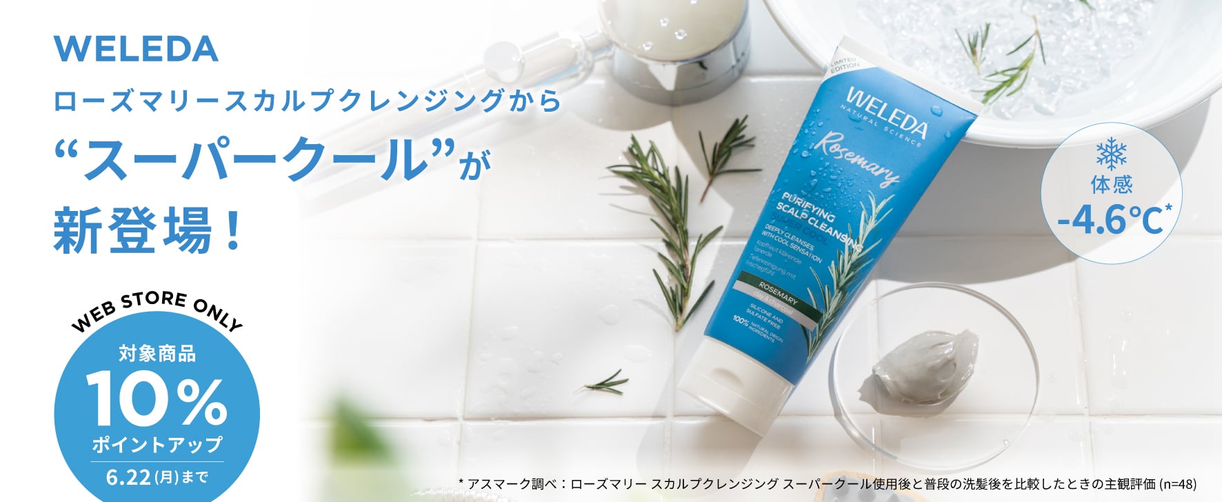 数量限定！夏の頭皮を瞬間リフレッシュ