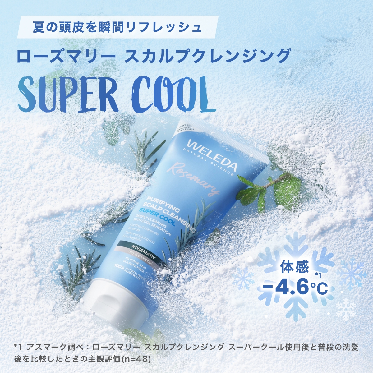 新商品が今だけ10％ポイントアップ