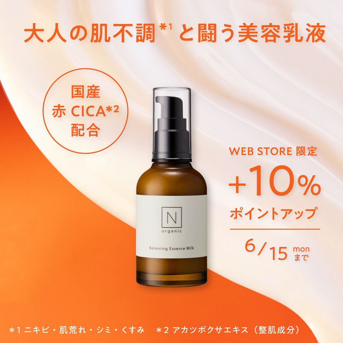 WEB STORE先行！お得なキット発売中
