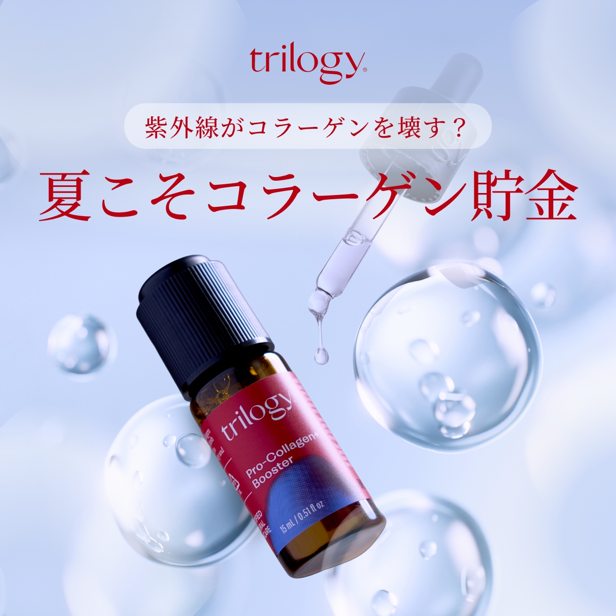 WEB限定！対象商品ポイントアップキャンペーン