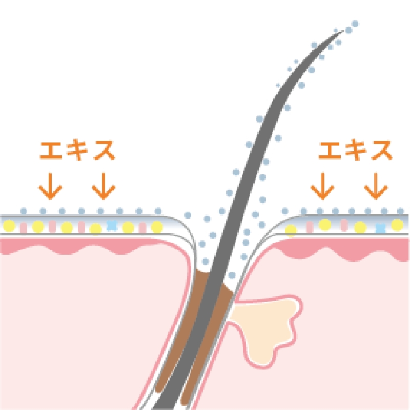 【INNERSENSE】ヘアリニューデイリーアクティブセラム