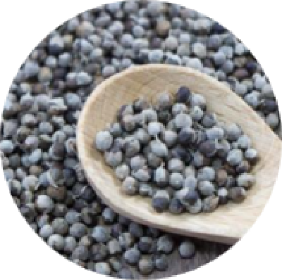 チェストベリー