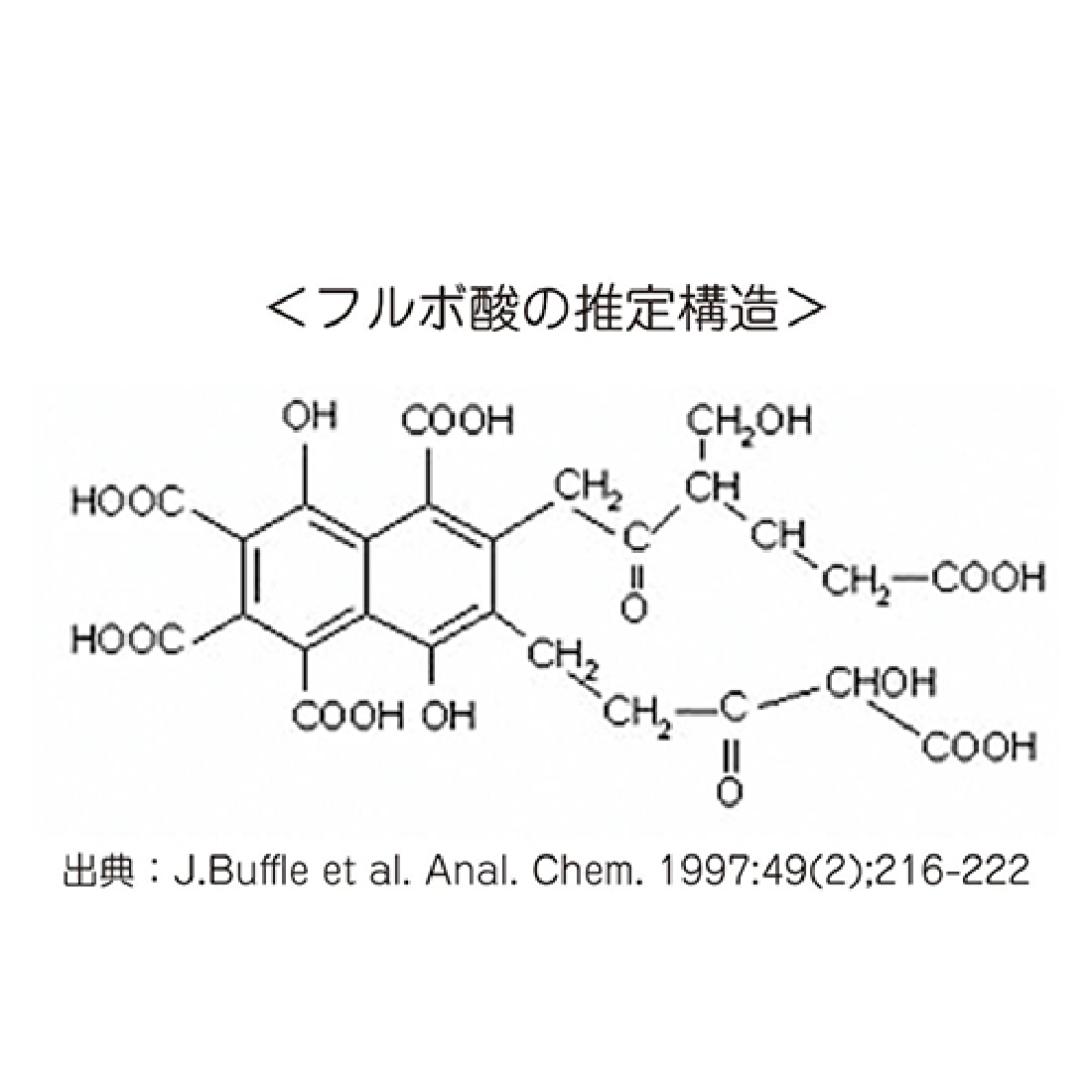 【SEORii】CIRCULATION EXTRACT（フミン酸フルボ酸）