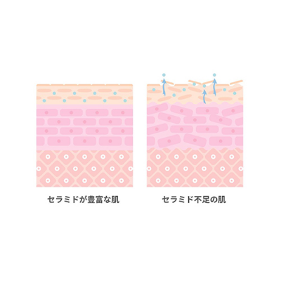 オーガニックシュガースクワラン（整肌成分）