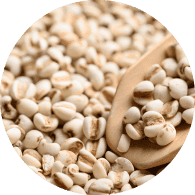 ハトムギ種子発酵液*8