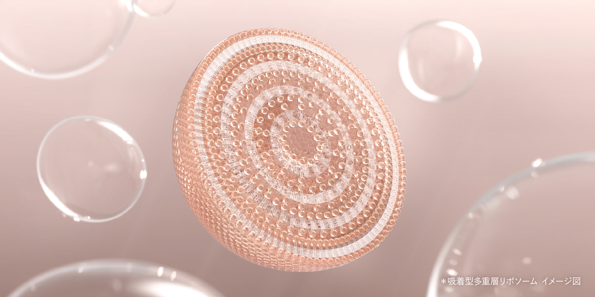 SB_SSコレクション