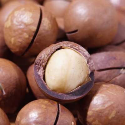 マカデミア種子油