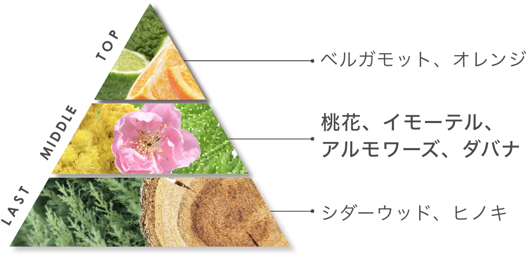 香りピラミッド
