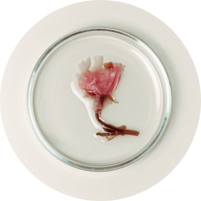 肌あれを予防しながら、潤いチャージ！