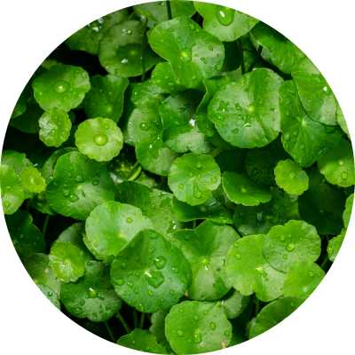 未来のエイジングサイン*¹も徹底ケア