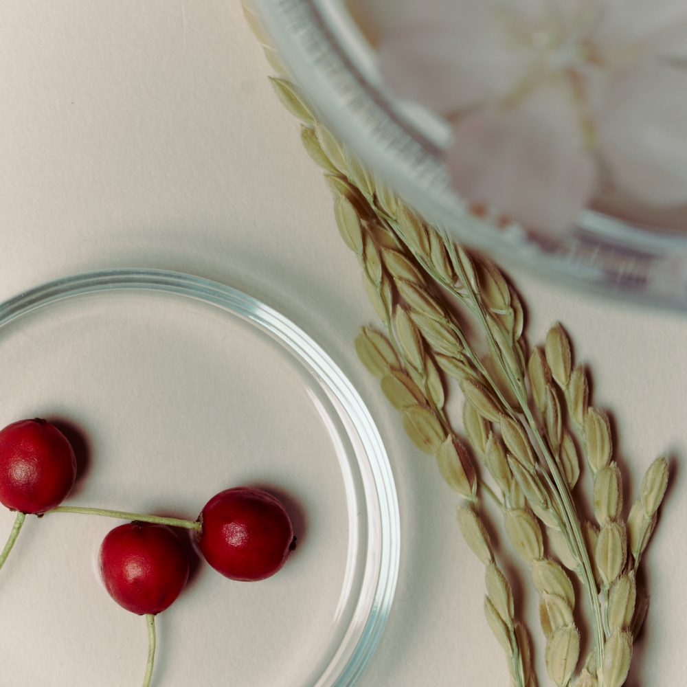 【Trilogy】カーミング ブロッサム UVミルク