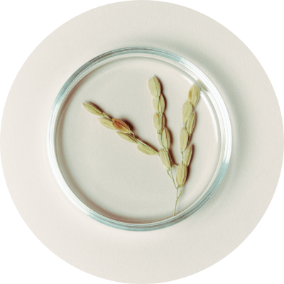 肌あれを予防しながら、潤いチャージ！