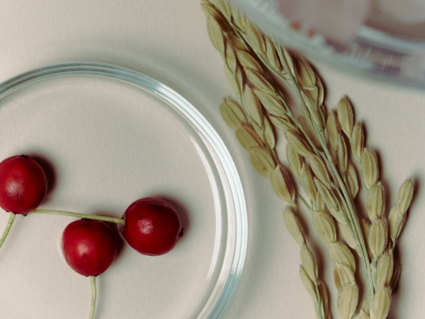 【Trilogy】カーミング ブロッサム ハイドラマスク