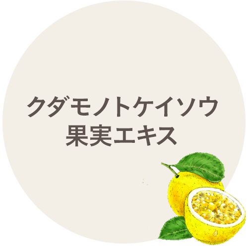 クダモノトケイソウ果実エキス