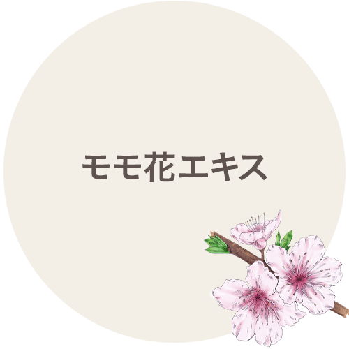 モモ花エキス