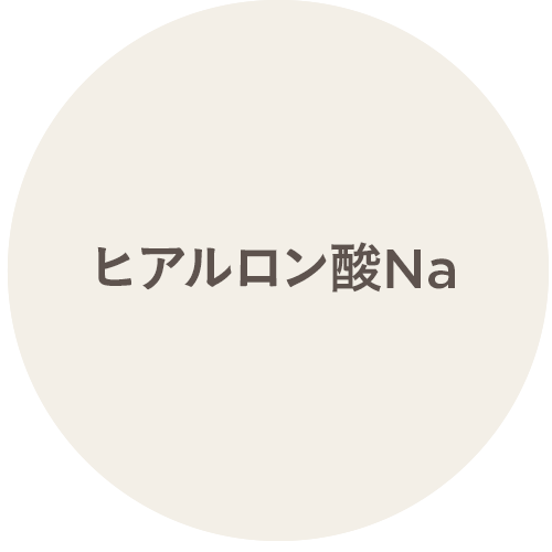 ヒアルロン酸Na