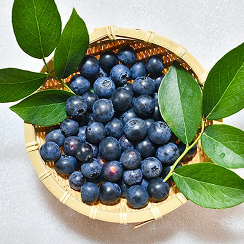 ビルベリー葉エキス