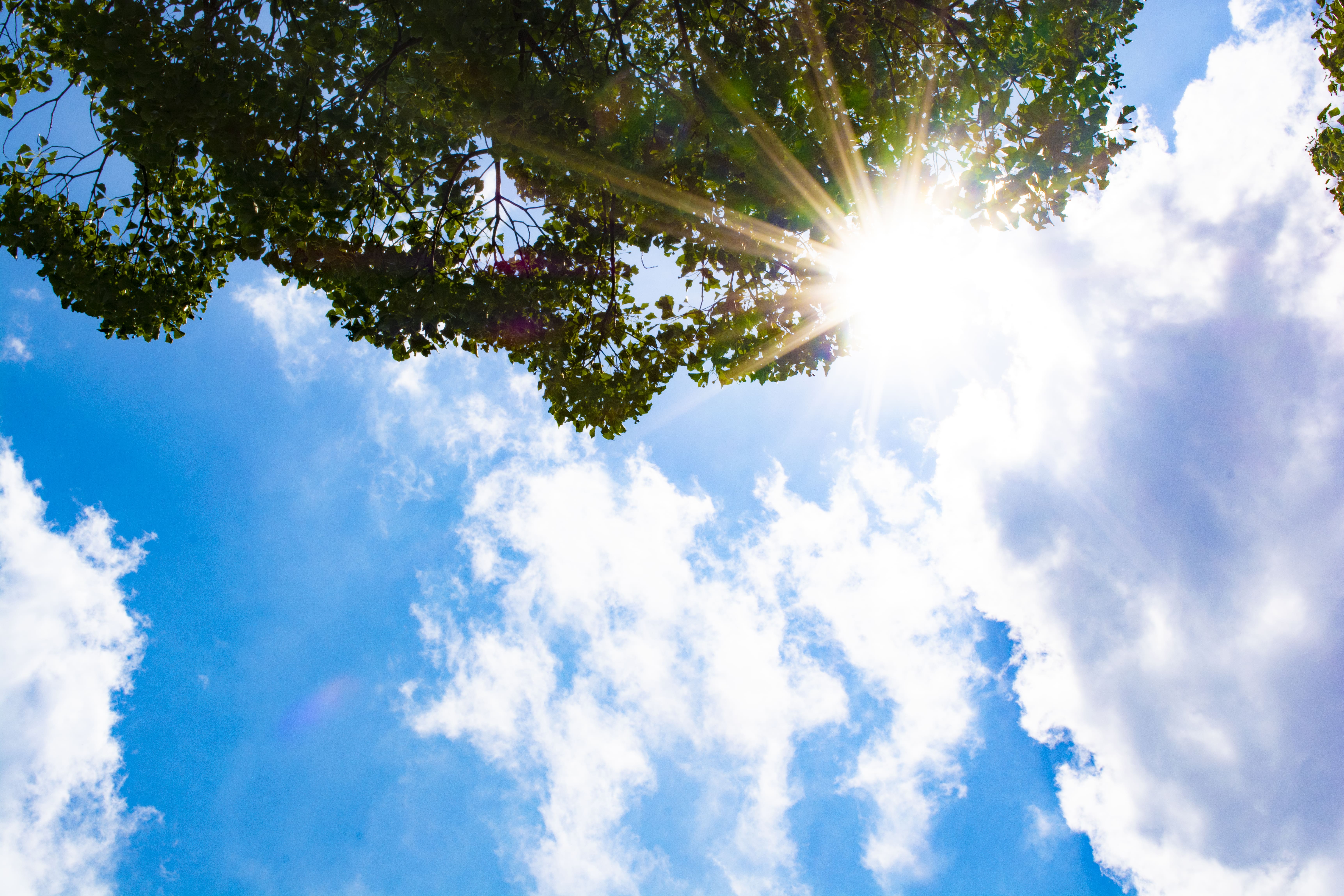 【amritara】ライス＆グレープ ラディエンス クリーム SPF12 PA++ 30g