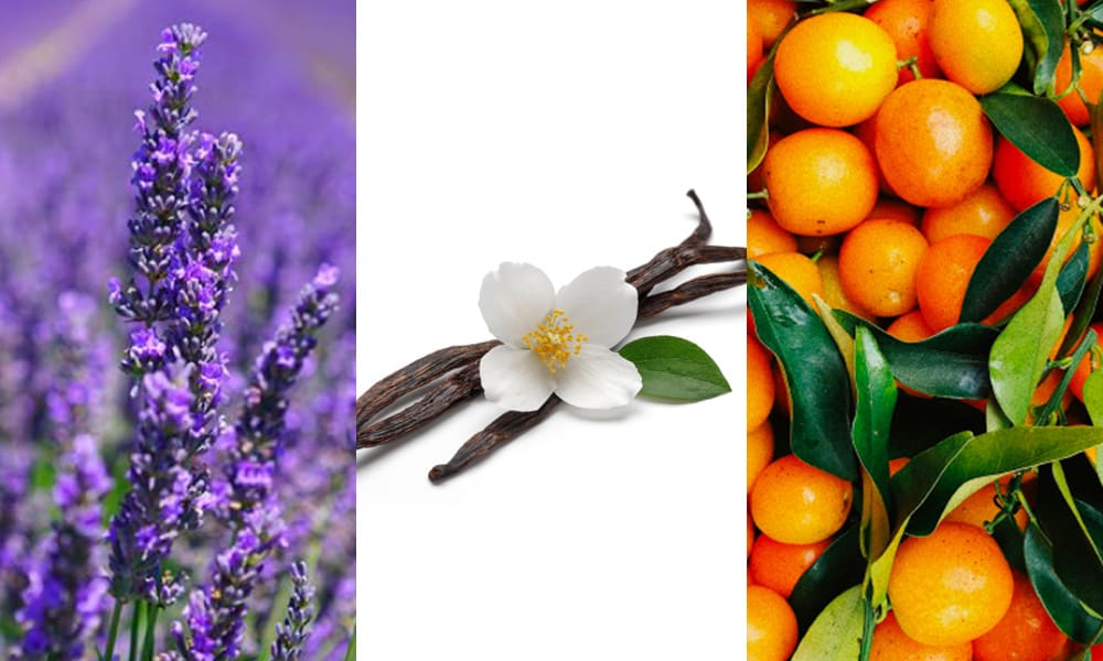 【uka】nail oil 24:45 ホルダーセット