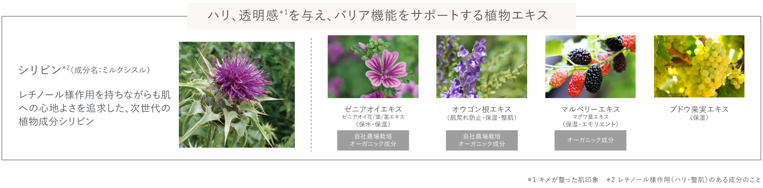 【Naturaglace】メイクアップ クリーム モイストP ポイント02