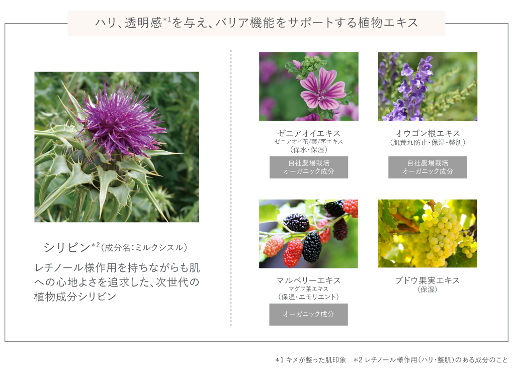【Naturaglace】メイクアップ クリーム モイストP ポイント02