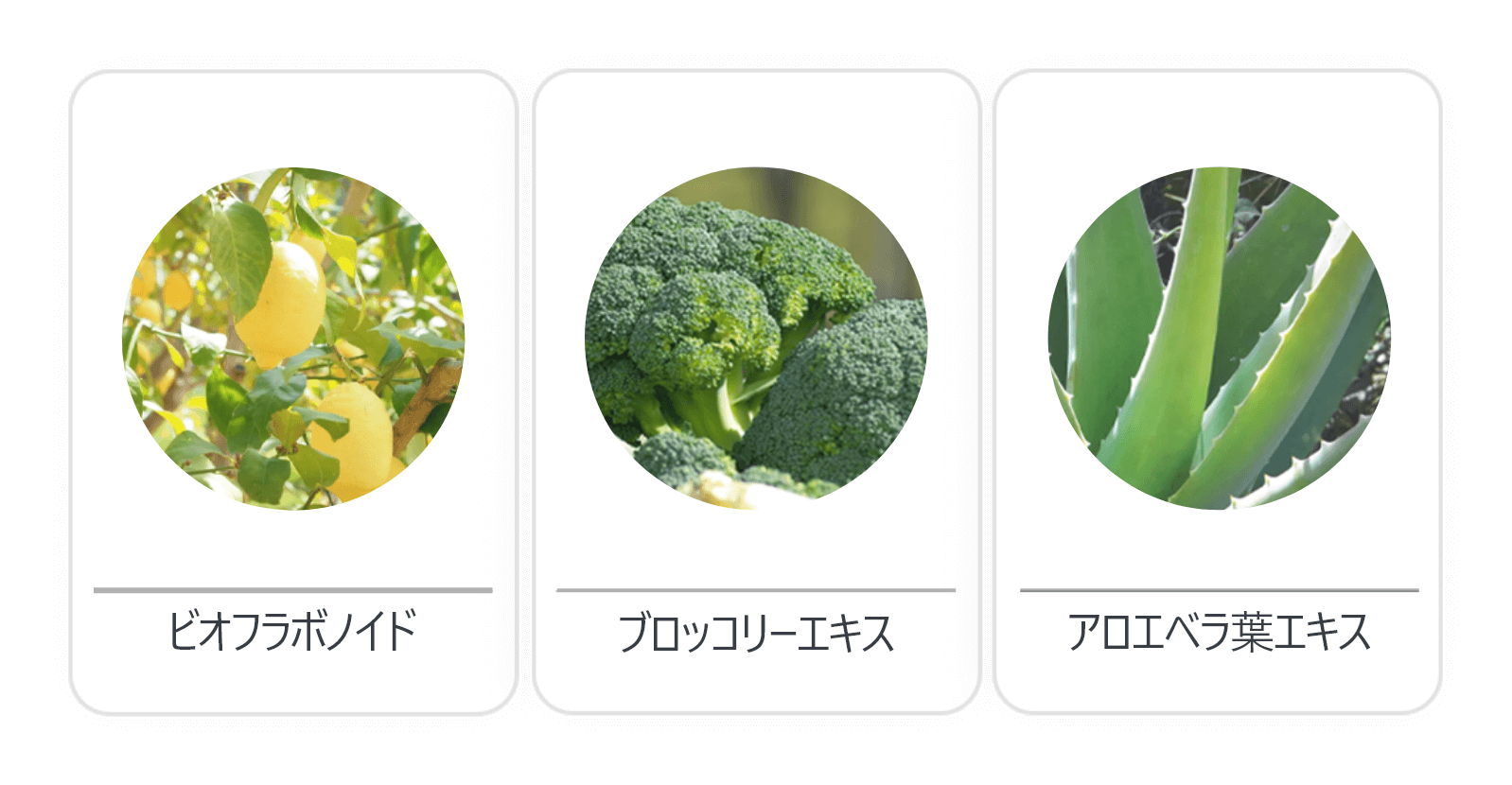 ビオフラボノイド　ブロッコリーエキス　アロエベラ葉エキス