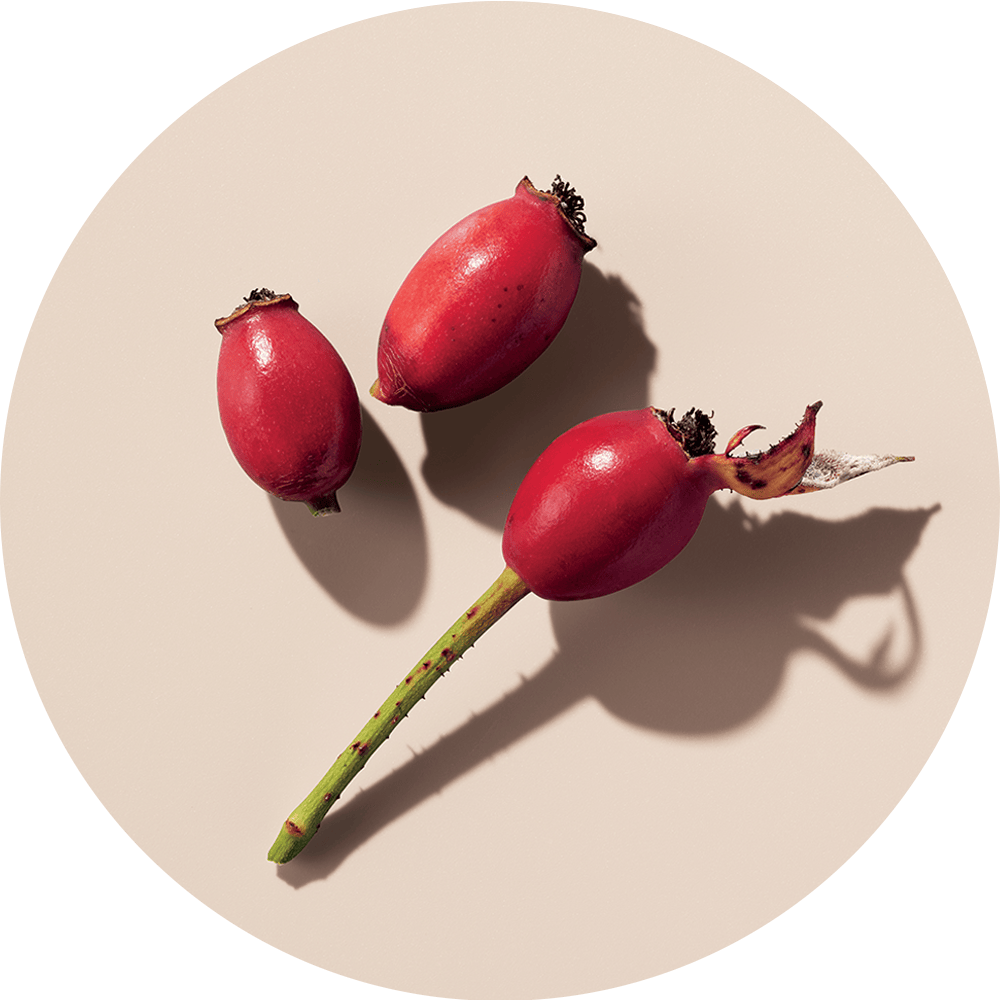 ローズヒップオイル