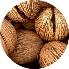 ココナッツオイル