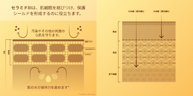 【Antipodes】スーパーナチュラルSPF50＋フェイシャルサンスクリーン