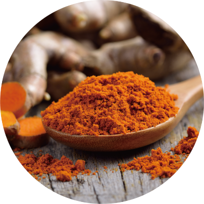 ウコン（ターメリック）