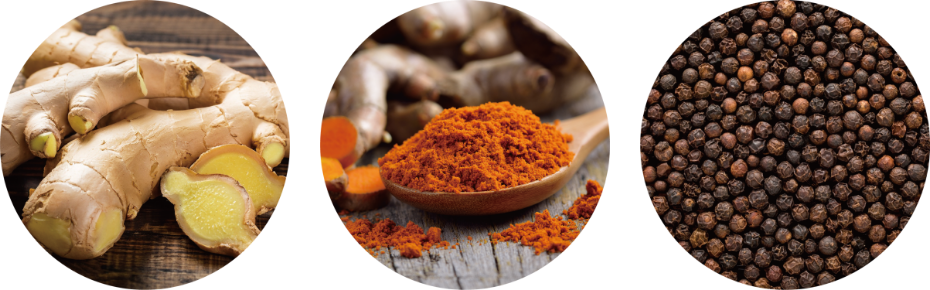 【Me Today】ジェントリージンジャー　スーパーハニー