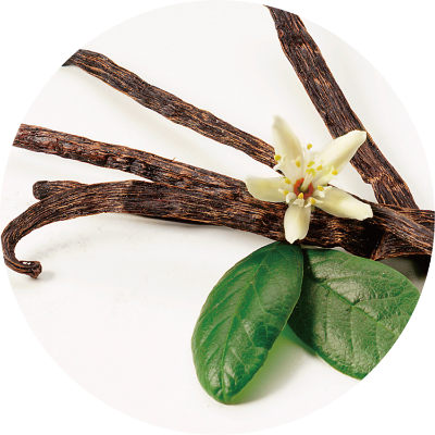 ウコン（ターメリック）