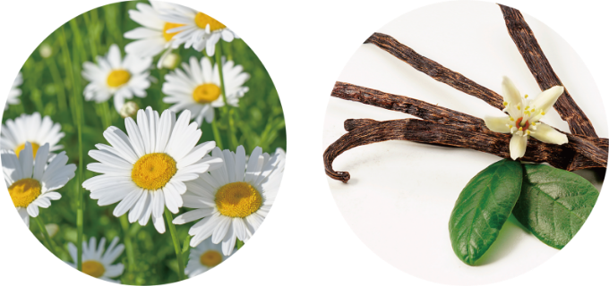 【Me Today】ドリーミーカモミール　スーパーハニー