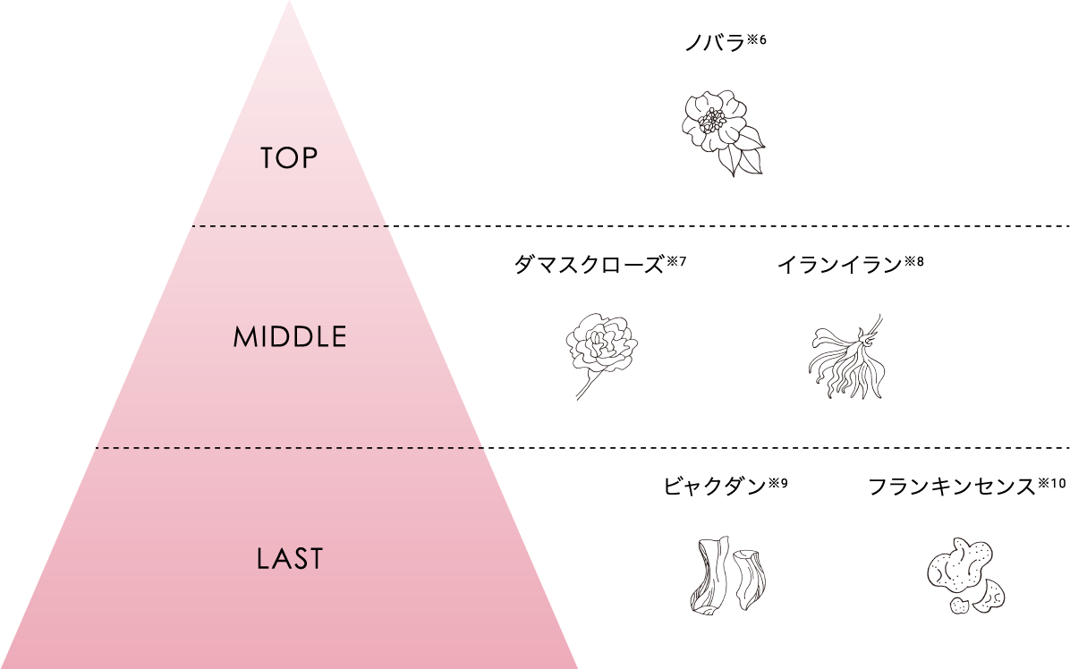 “香りのグラフ、上から下の内容はTOP：ノバラ※6、MIDDLE：ダマスクローズ※、イランイラン※8、LAST：ビャクダン※9、フランキンセンス※10