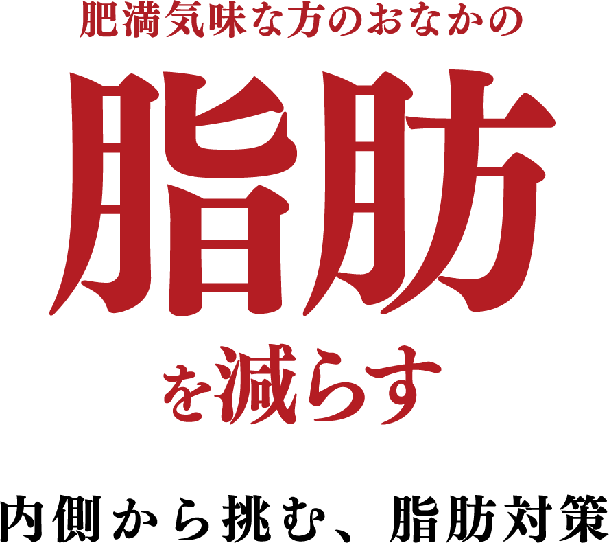 肥満気味な方のおなかの脂肪を減らす　内側から挑む、脂肪対策