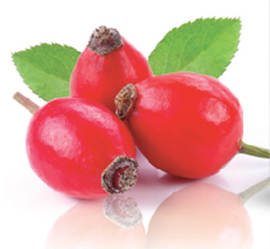about KOSMEA’s Rose hip