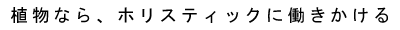 植物なら、ホリスティックに働きかける