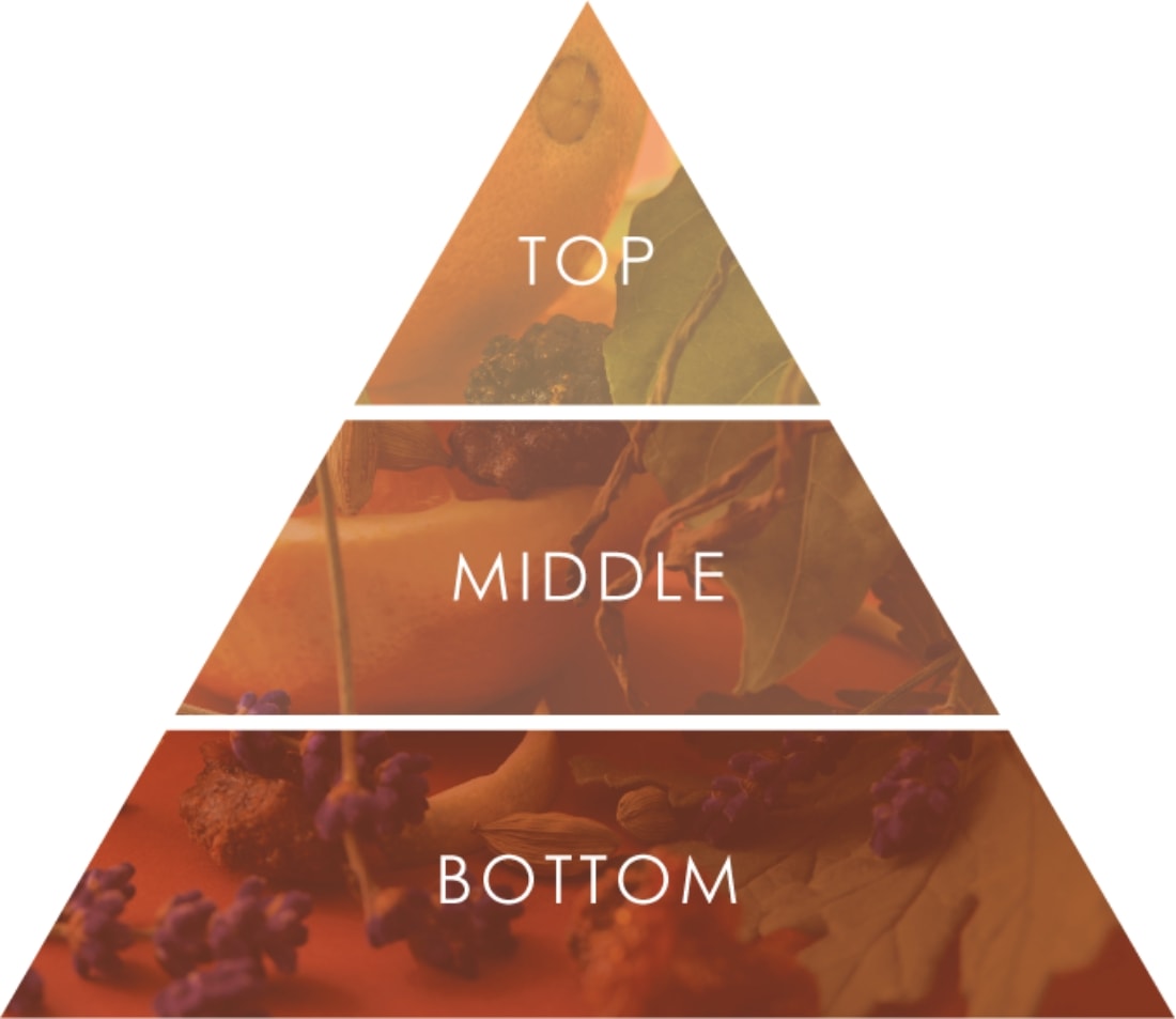 香りのピラミッド：TOP・MIDDLE・BOTTOM