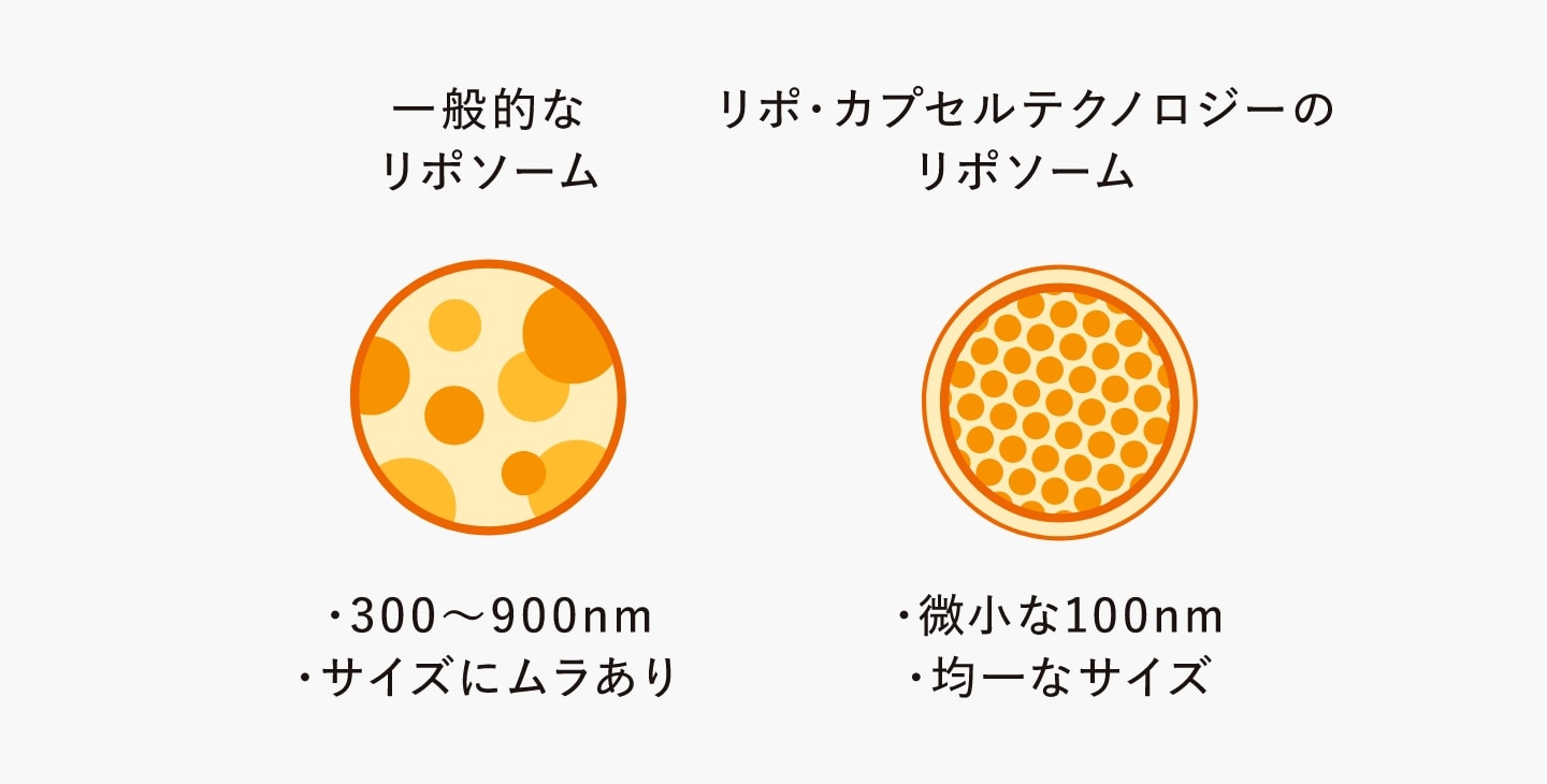一般的なリポソームとリポ・カプセルテクノロジーのリポソームの比較図