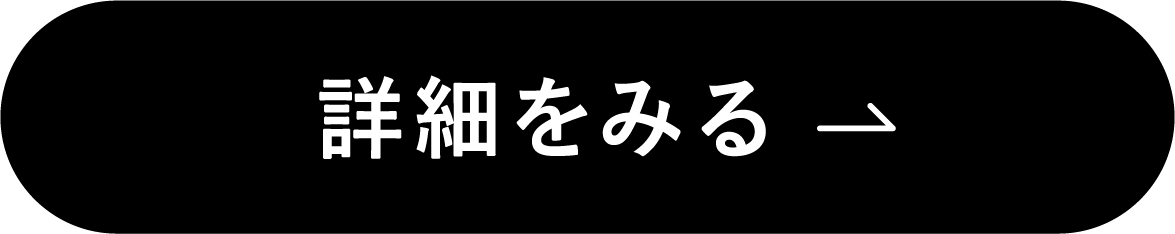 詳細をみる