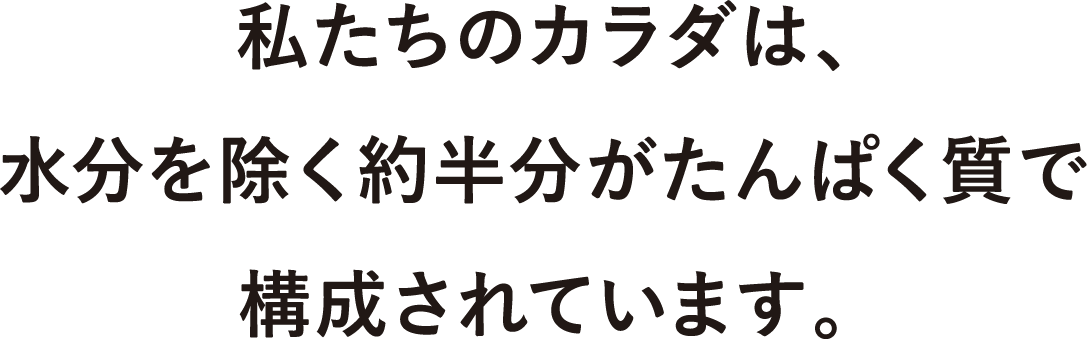 私たちのカラダは、水分を除く約半分がたんぱく質で構成されています。