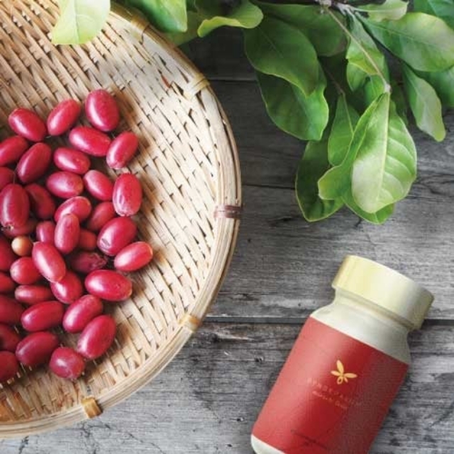 SYNSEPALUM 未来活性因子サプリメント 商品画像