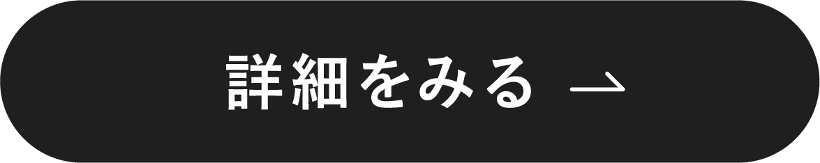 詳細をみる